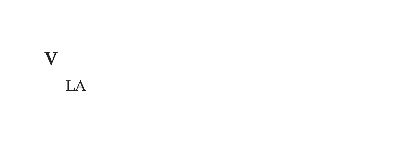 Visionnaire Leadership Academy